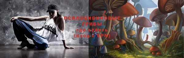 ГАЛЛЮЦИНОГЕННЫЕ ГРИБЫ Абаза