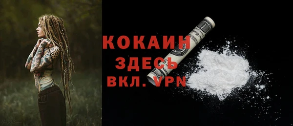 a pvp Алзамай