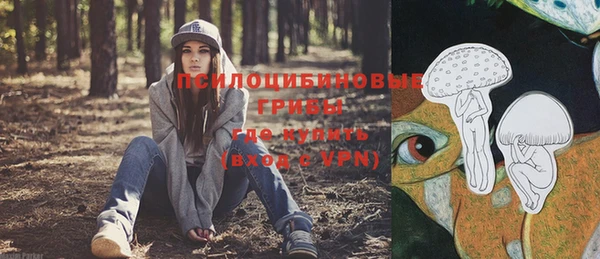 спиды Алексеевка